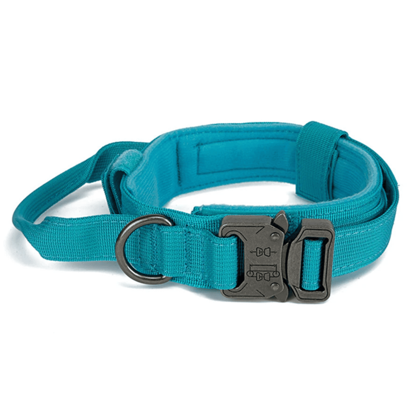 PawfectFit - Halsband Hond – Verstelbaar Nylon - Stevige Hondenhalsband