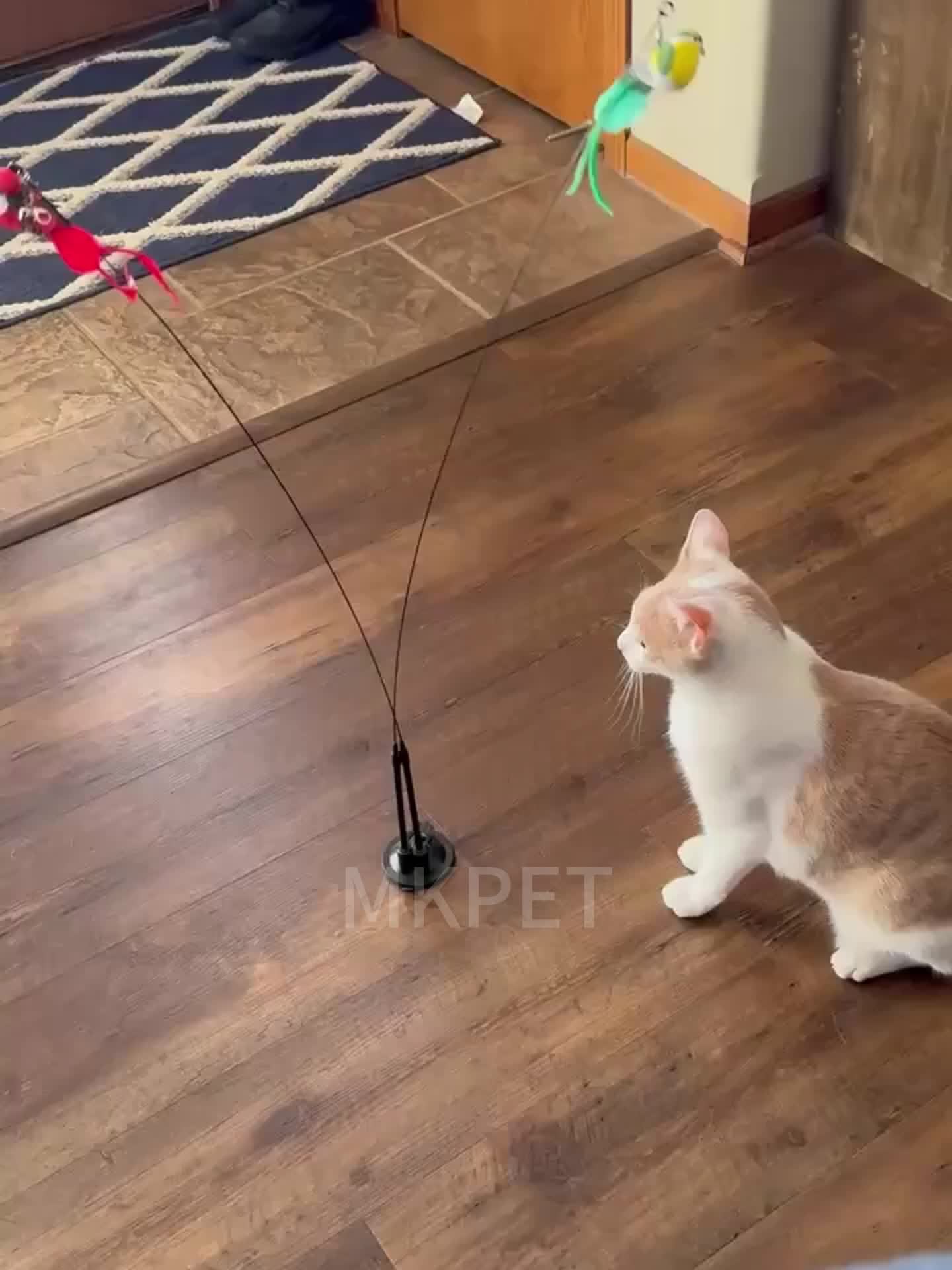 FladderFun – Kattenhengel met Realistische Vogel