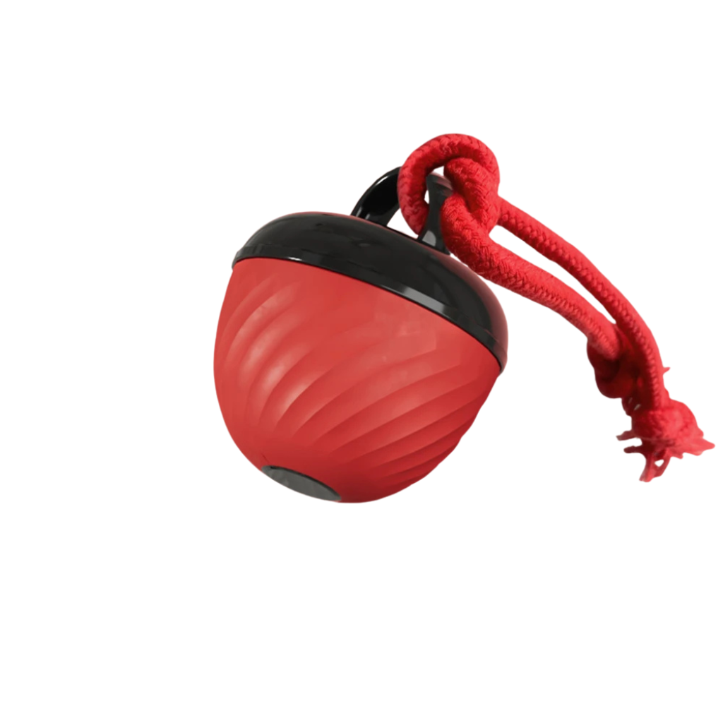 PlayMotion - Interactieve Hondenbal – Automatische Bewegende Speelbal met USB Opladen