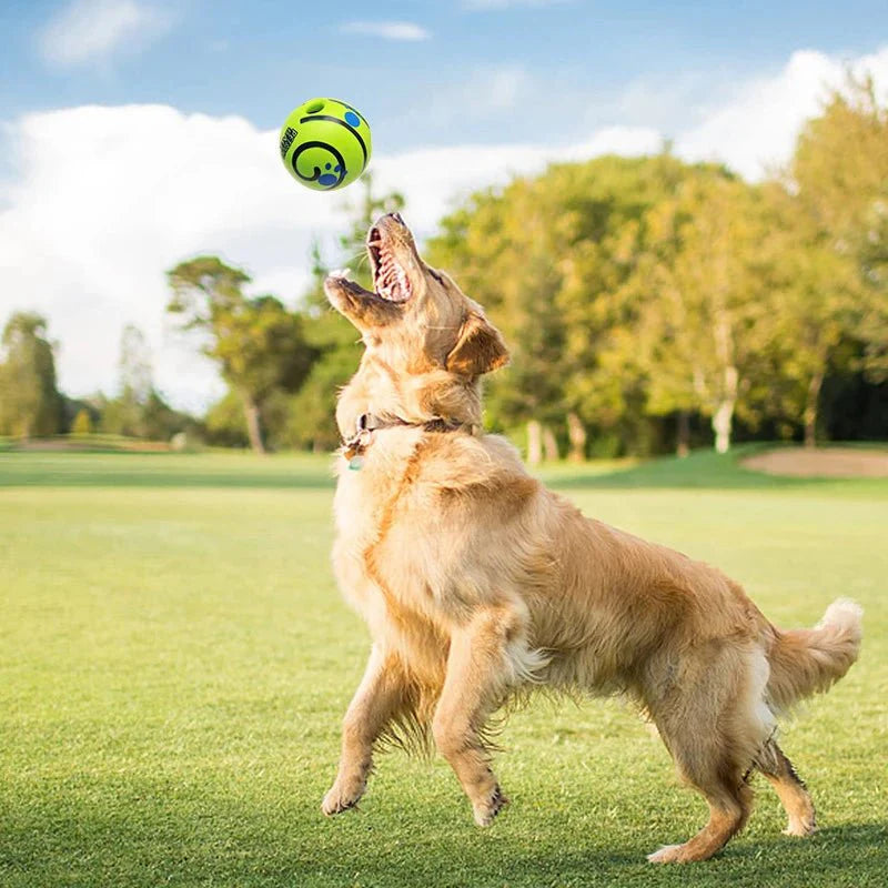 Honden Speelbal met Geluid - Hondenspeelgoed - Interactieve Hondenspeelbal