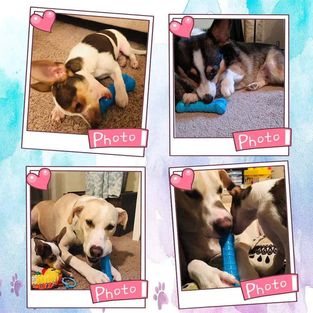 Kauwspeeltje met Tandenborstel