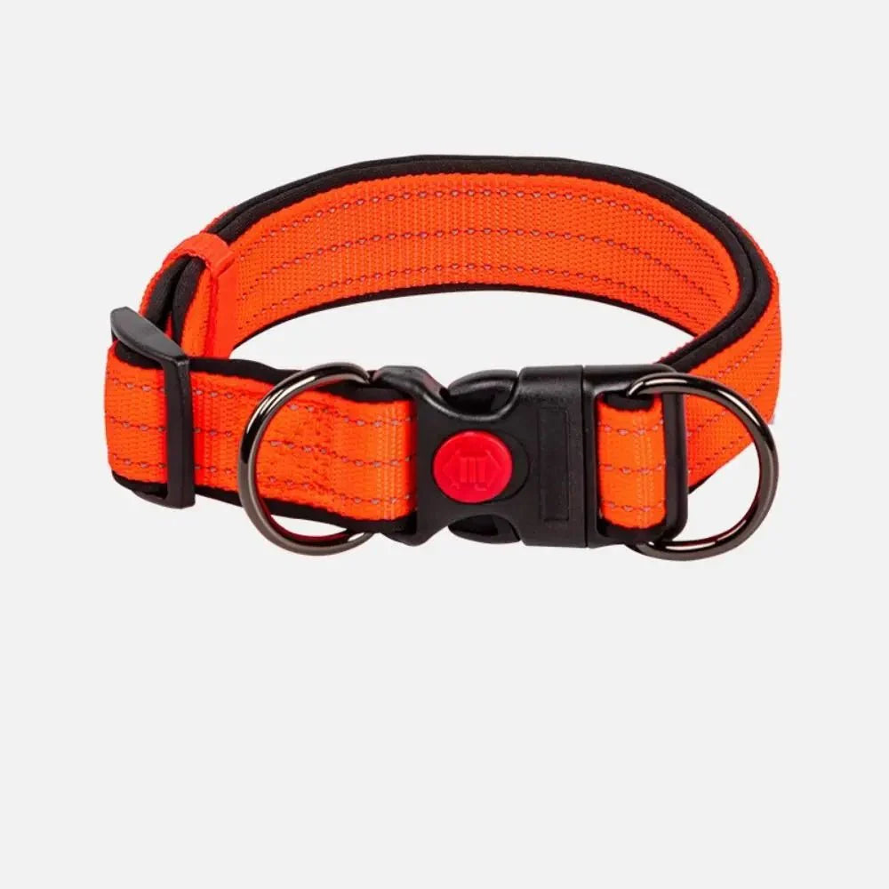 Reflecterende Halsband met Dubbele D-Ring voor Honden