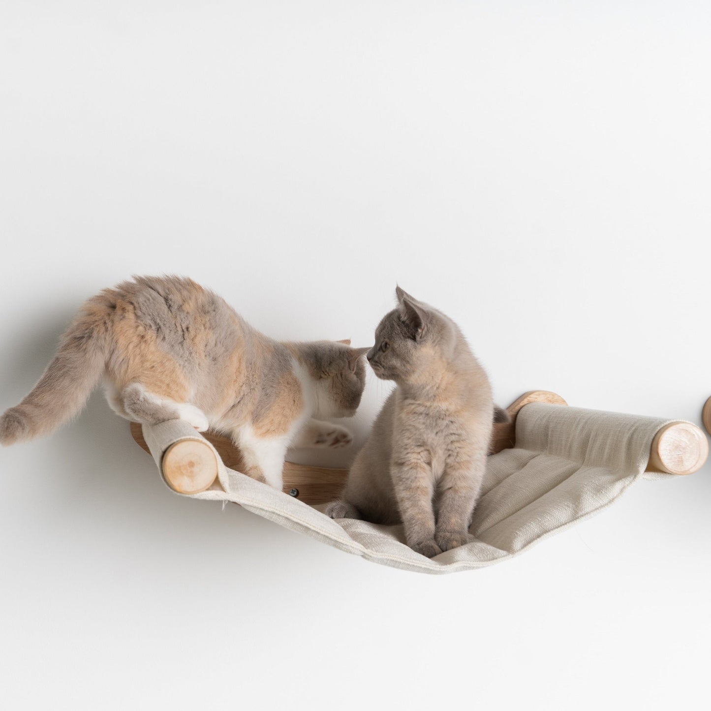 AniPets Luxe Katten Hangparadijs – Crème Edition