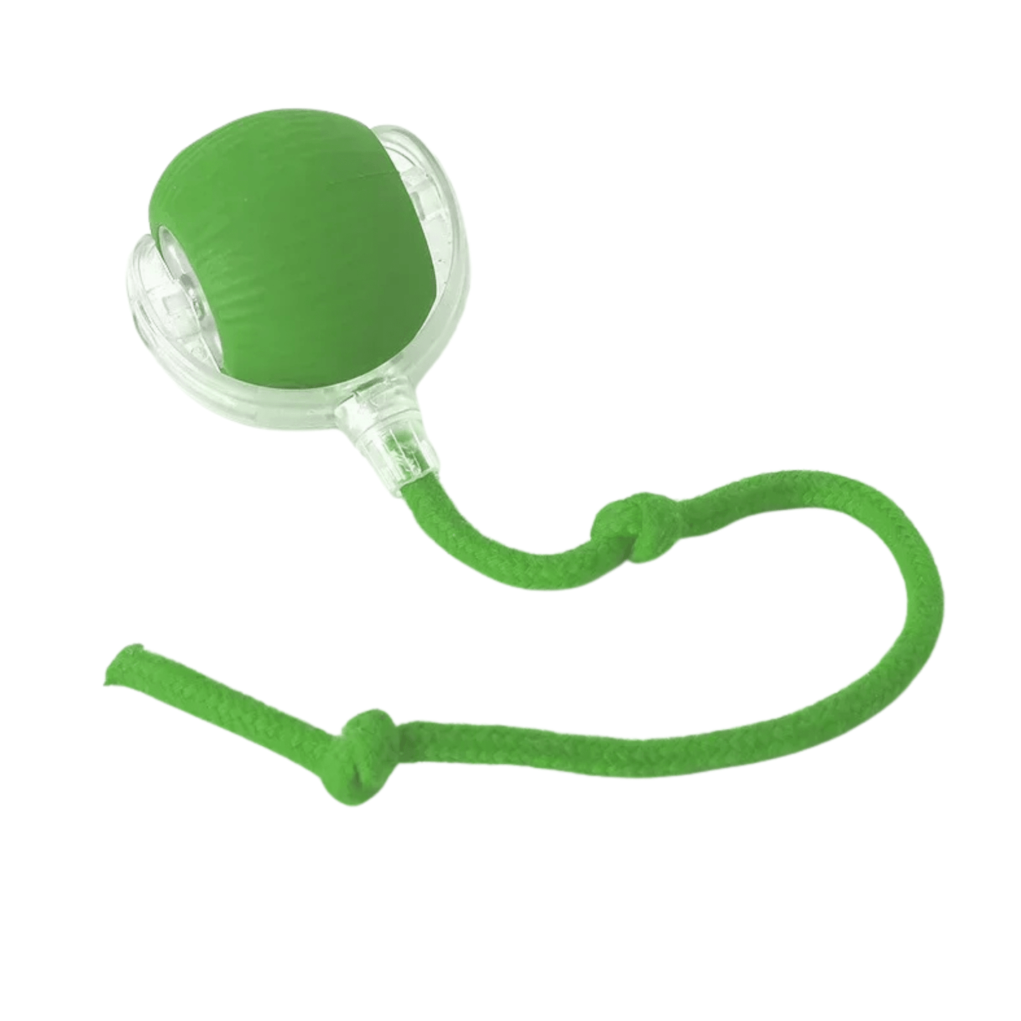 Roll & Play - Interactieve Bal