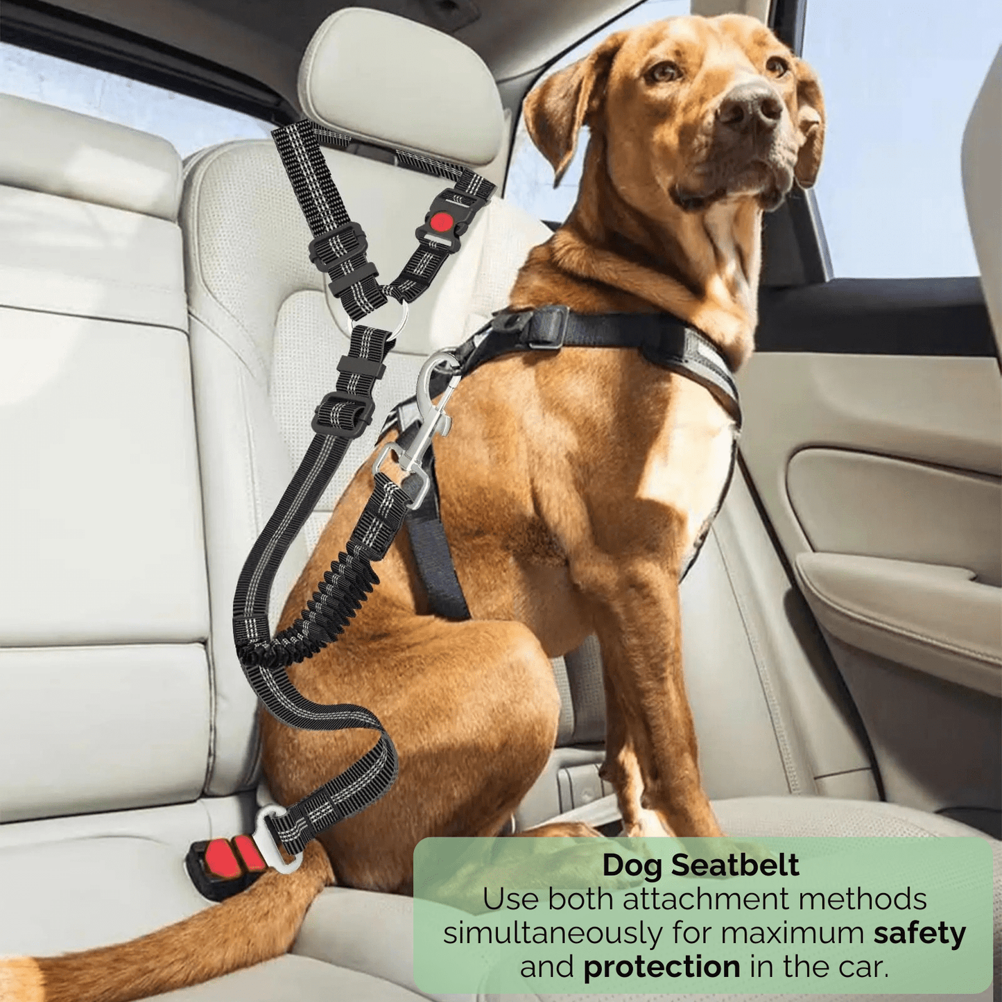 Verstelbare Autogordel met Sterke Karabijnhaak