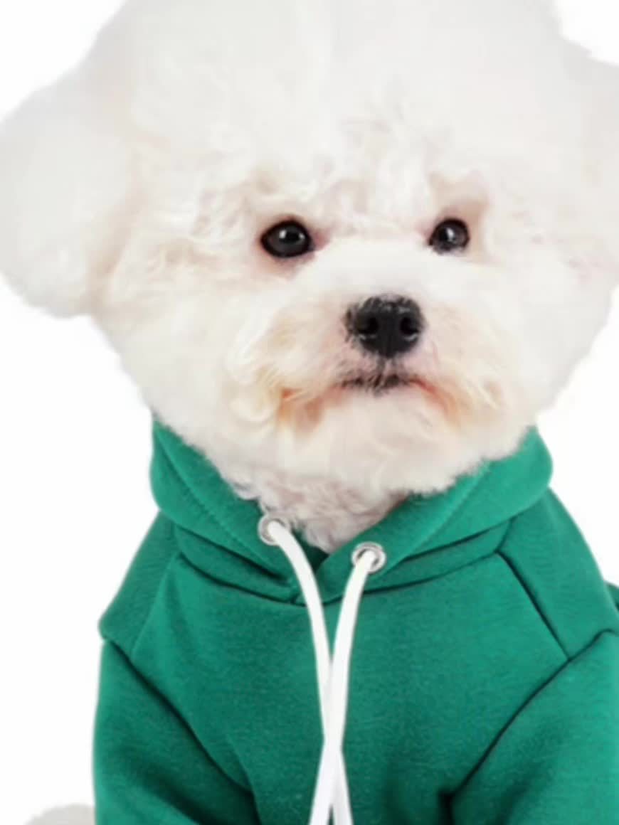 Warme Woef Hoodie – Comfort & Cute in Eén