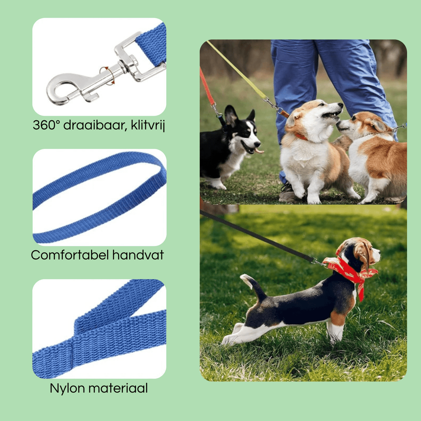 10M Trainingslijn – Extra Lange Hondenriem