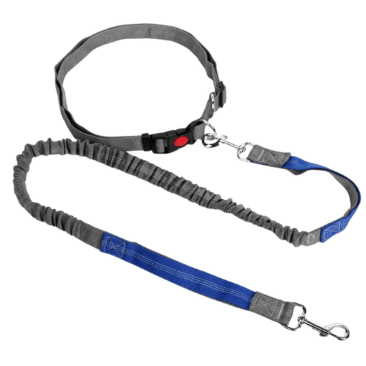Uittrekbare Heupriem – Handsfree Hondenlijn
