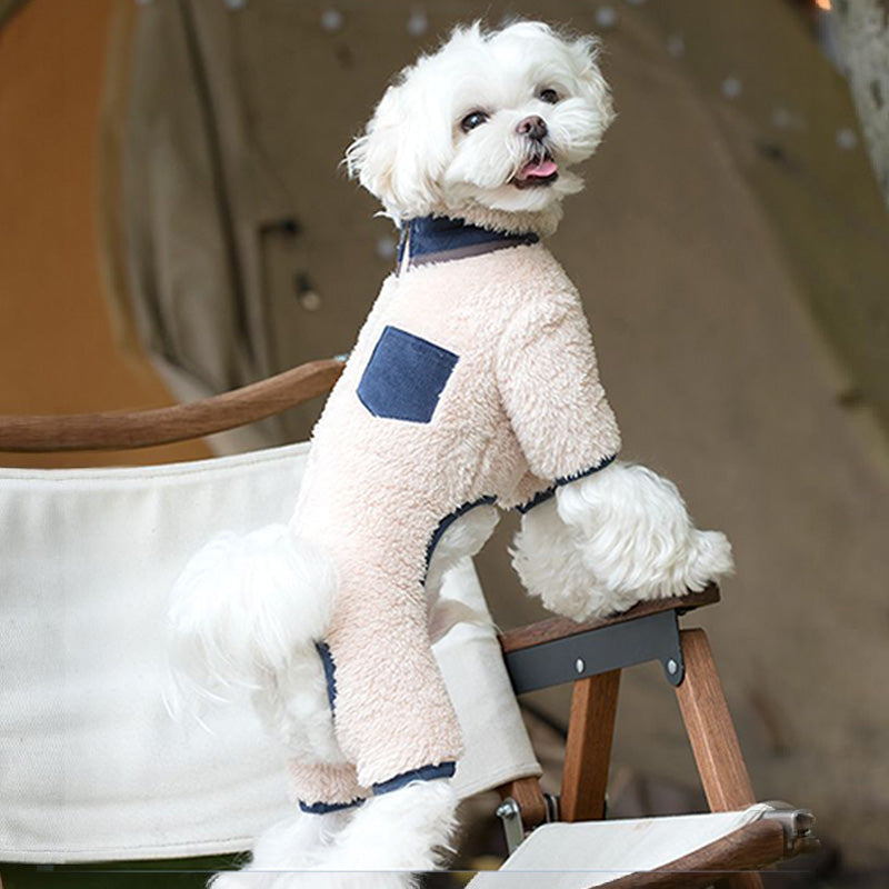 PawCouture