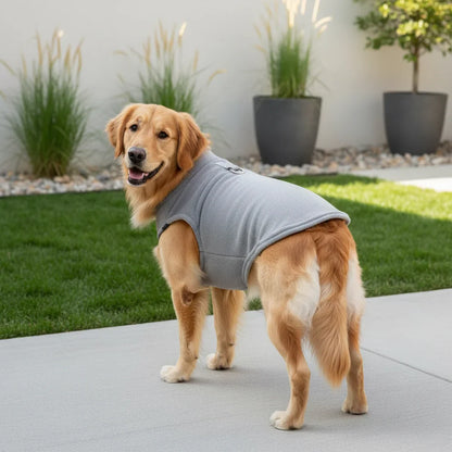 FurHug - Winter Hondenjas – Warme Polyester Vest met D-Ring voor Kleine Honden