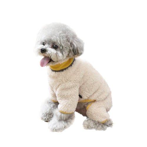 PawCouture