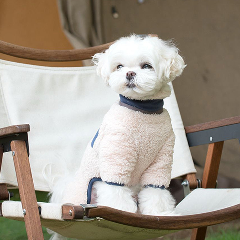PawCouture
