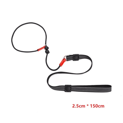 Hondenriem - 2-in-1 Slipriem & Halsband - Zwart, Rood