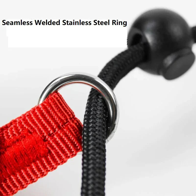 Hondenriem - 2-in-1 Slipriem & Halsband - Zwart, Rood