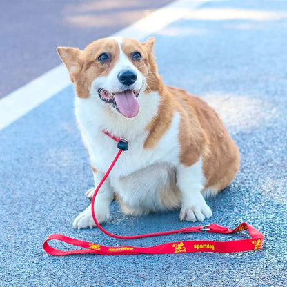 Hondenriem - 2-in-1 Slipriem & Halsband - Zwart, Rood