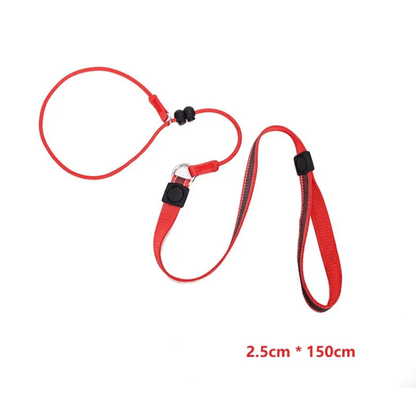 Hondenriem - 2-in-1 Slipriem & Halsband - Zwart, Rood