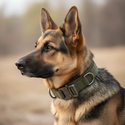 PowerPaw Tactische Hondenhalsband & Riem Set – Verstelbare Nylon Halsband met Schokdempende Bungee Hondenriem