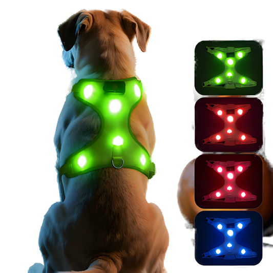 AniPets GlowLine