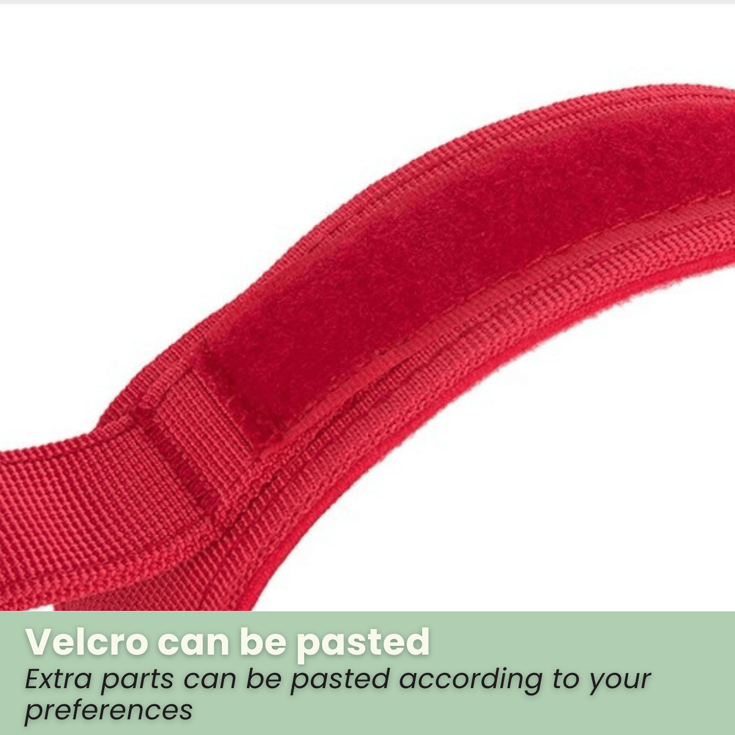 PawfectFit - Halsband Hond – Verstelbaar Nylon - Stevige Hondenhalsband