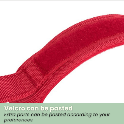 PawfectFit - Halsband Hond – Verstelbaar Nylon - Stevige Hondenhalsband