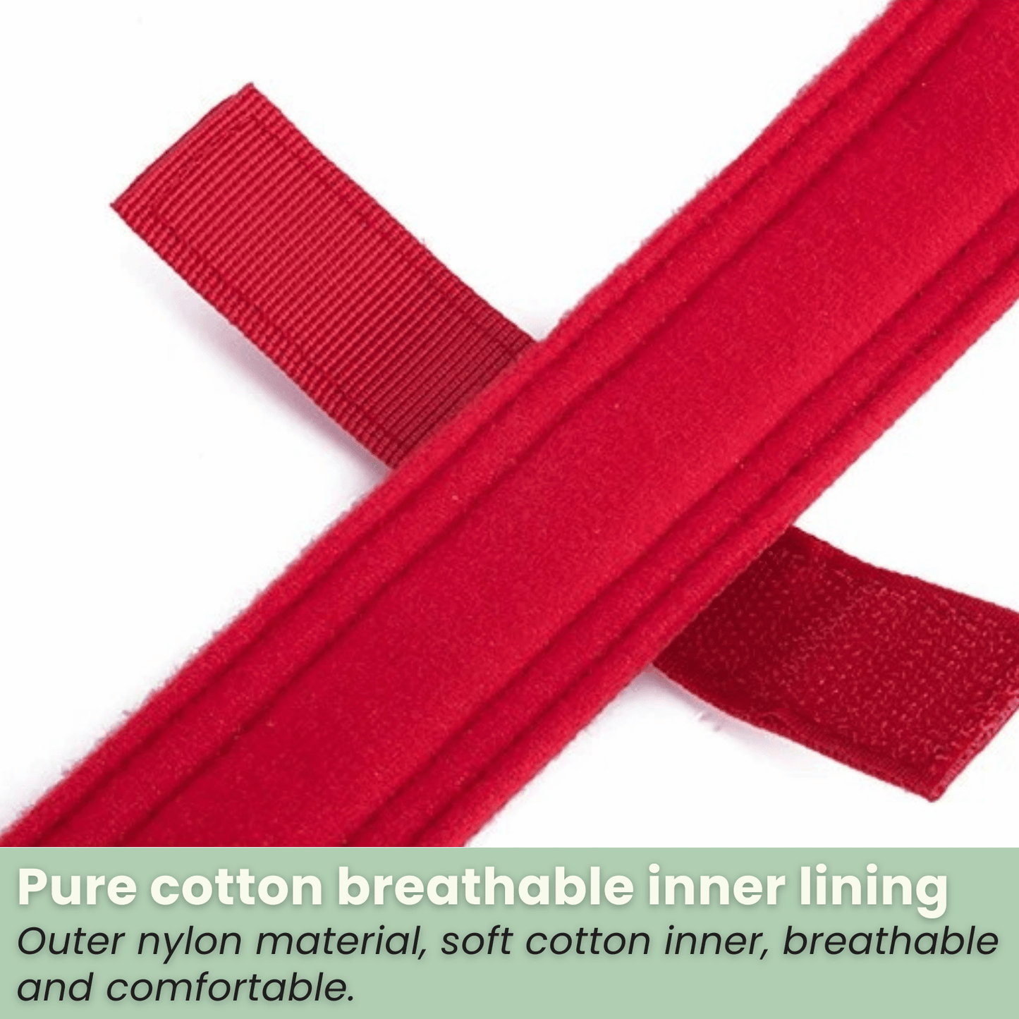 PawfectFit - Halsband Hond – Verstelbaar Nylon - Stevige Hondenhalsband