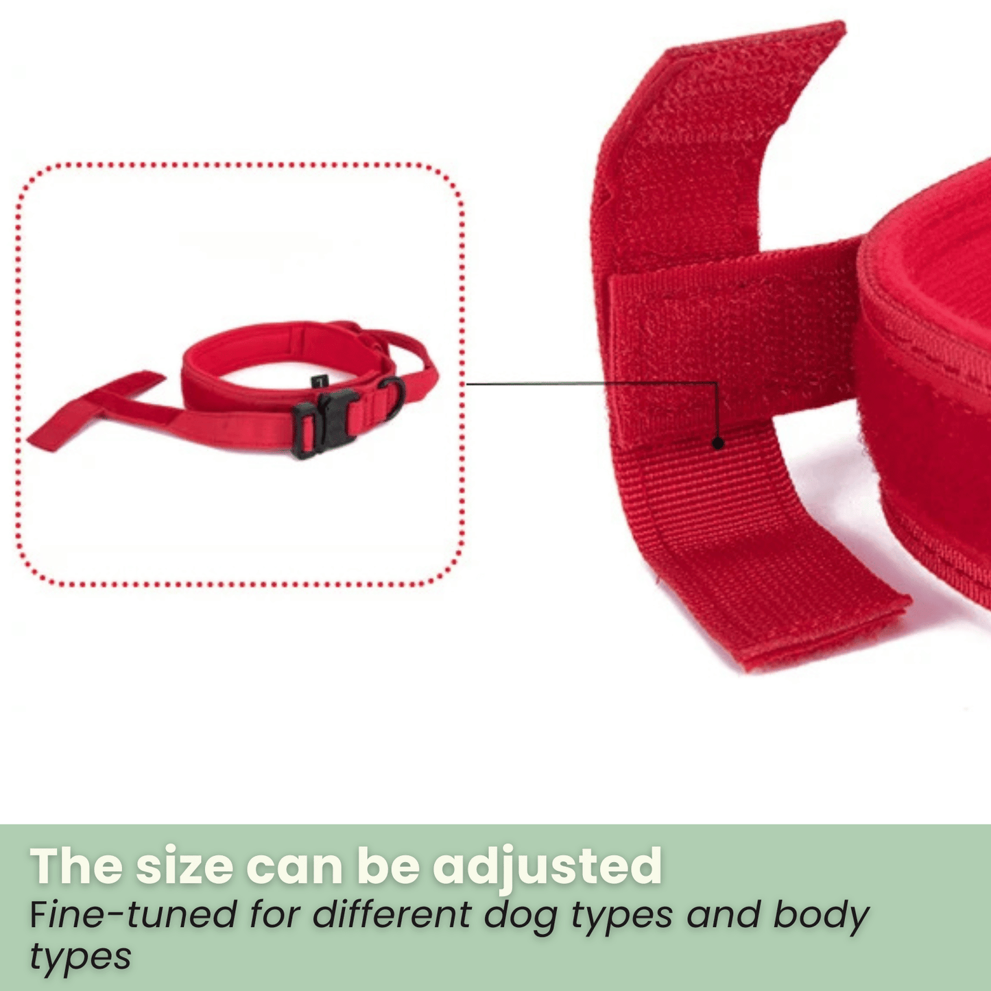 PawfectFit - Halsband Hond – Verstelbaar Nylon - Stevige Hondenhalsband