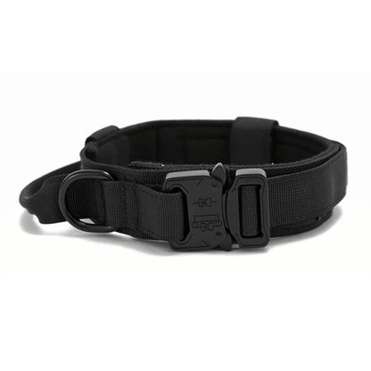 PawfectFit - Halsband Hond – Verstelbaar Nylon - Stevige Hondenhalsband