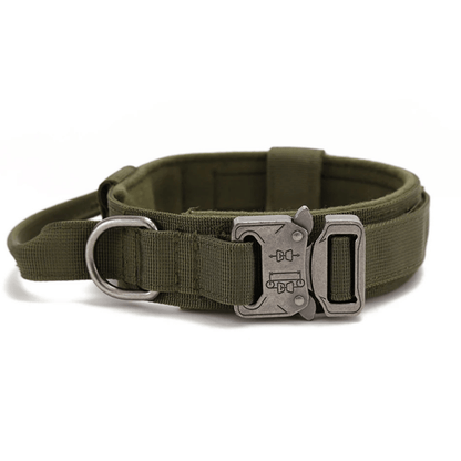 PawfectFit - Halsband Hond – Verstelbaar Nylon - Stevige Hondenhalsband