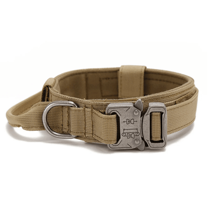 PawfectFit - Halsband Hond – Verstelbaar Nylon - Stevige Hondenhalsband