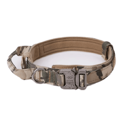 PawfectFit - Halsband Hond – Verstelbaar Nylon - Stevige Hondenhalsband