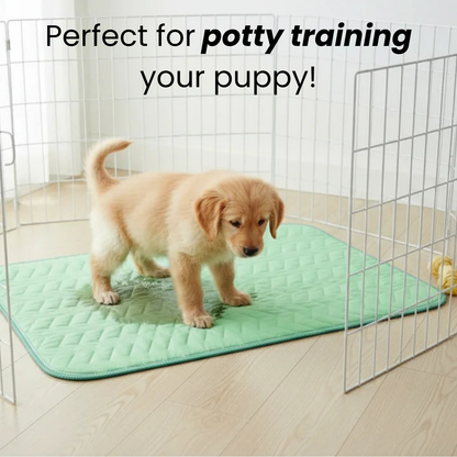 Onderlegger Bed Hondendeken – Superabsorberend Wasbaar Incontinentiekleed