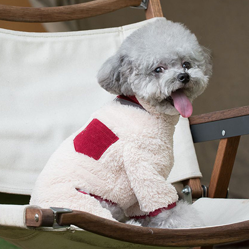 PawCouture