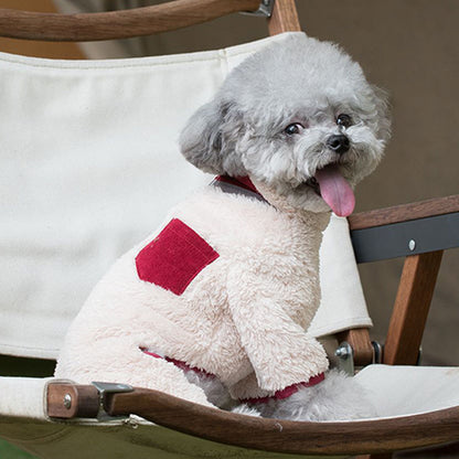 PawCouture