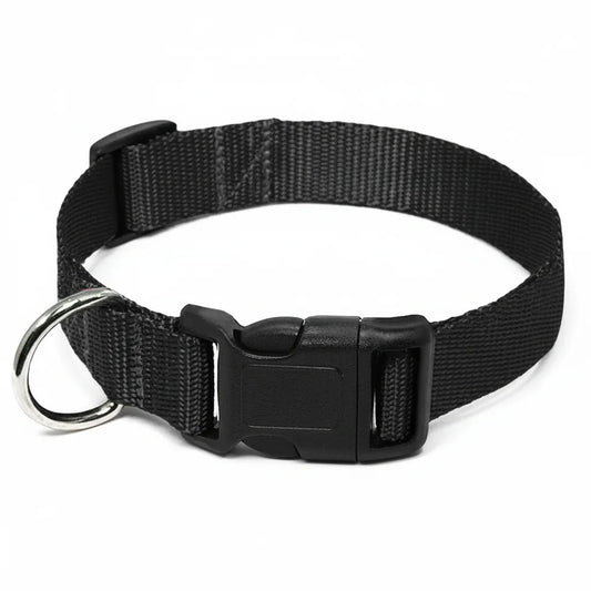 FlexiPaws - Halsband Hond en Kat Verstelbaar Nylon – Sterk & Comfortabel Voor Dagelijks Gebruik