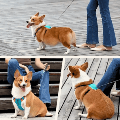 PawGuard Hondenharnas – No-Pull Verstelbaar Tuig Met Automatische Leiband - Hondentuig