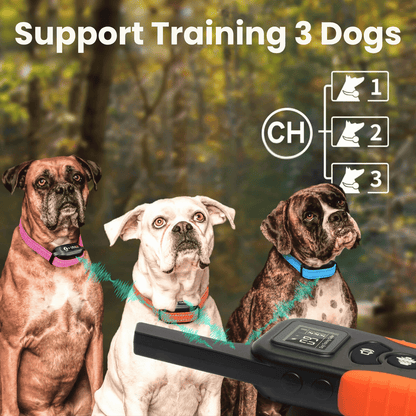 BarkShield Anti-blaf halsband – Bark Collar voor Honden – Zonder Schokken