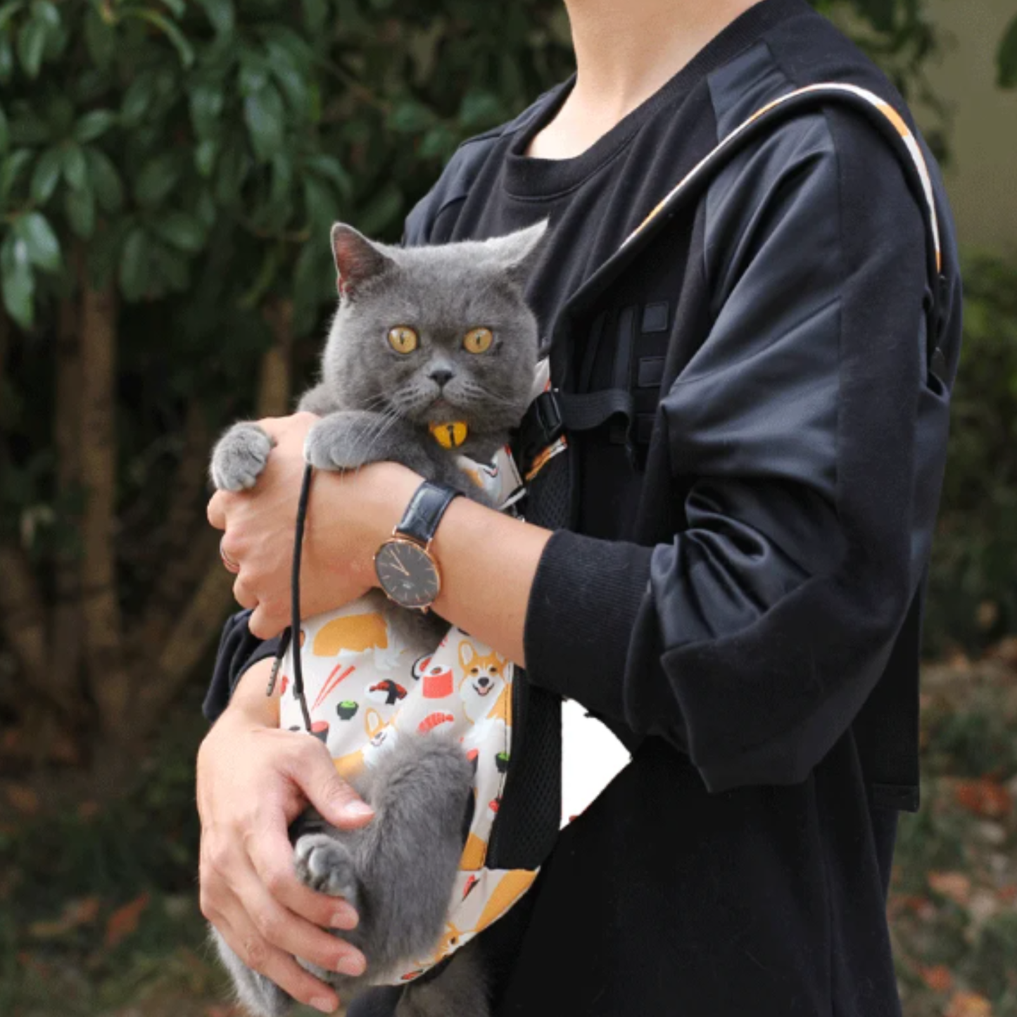 PetTrek Draagrugzak – Honden & Katten Rugzak - Ademend & Veilig