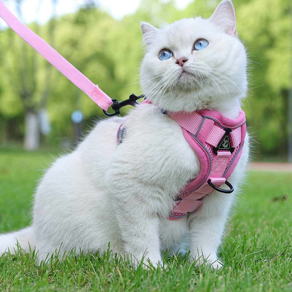 AniPets PurrWalk – Kattenharnas met Lijn