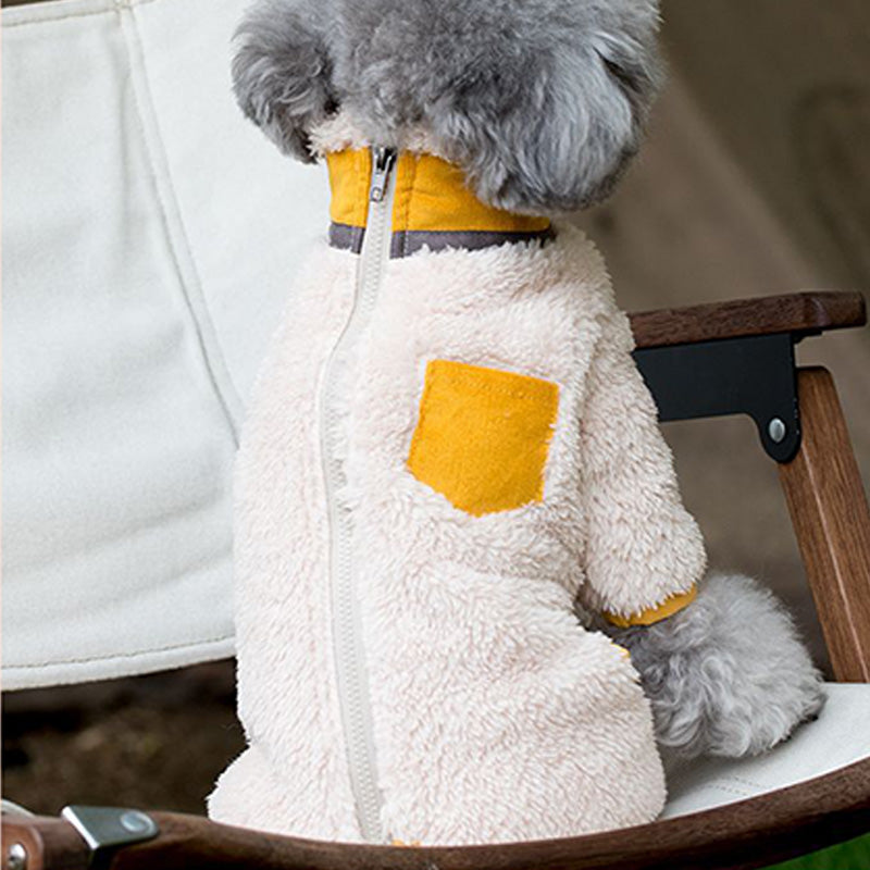 PawCouture