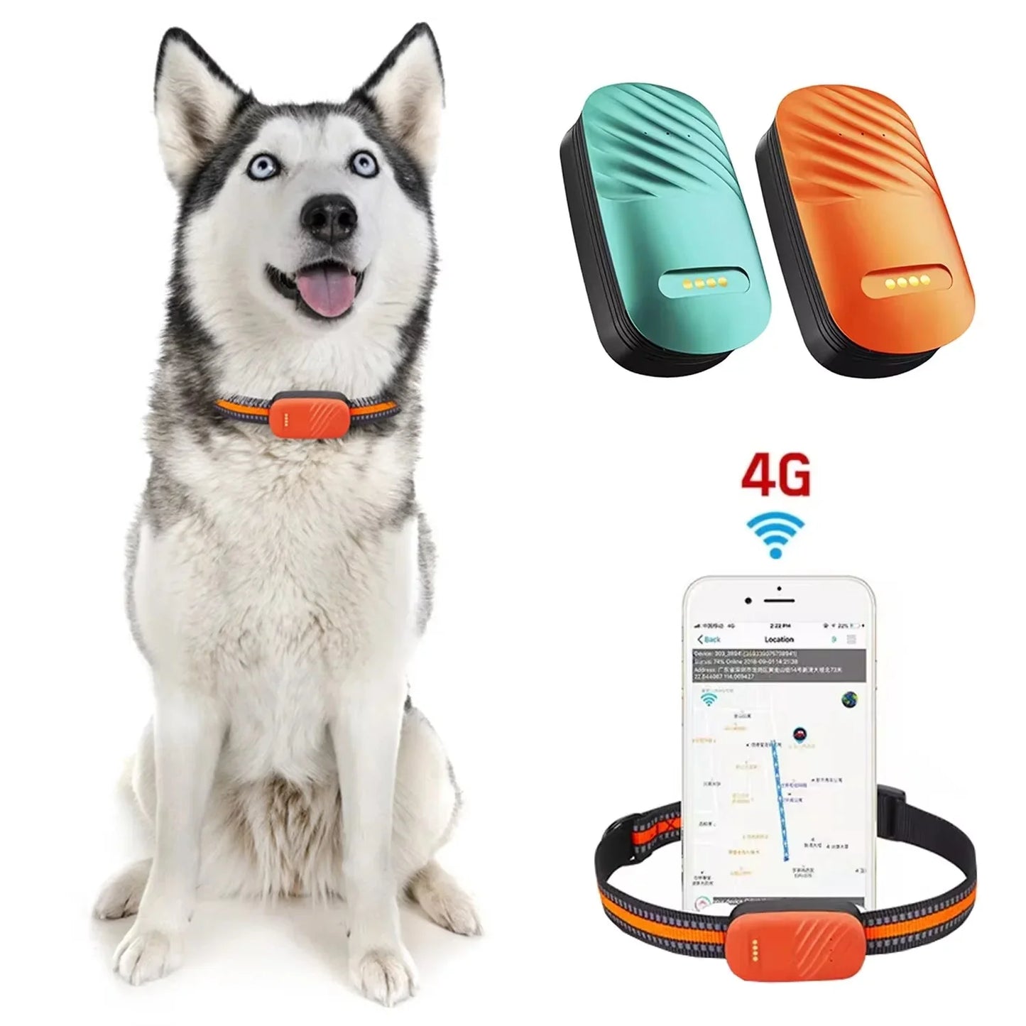 4G GPS Tracker voor Honden en Katten