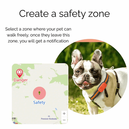 4G GPS Tracker voor Honden en Katten