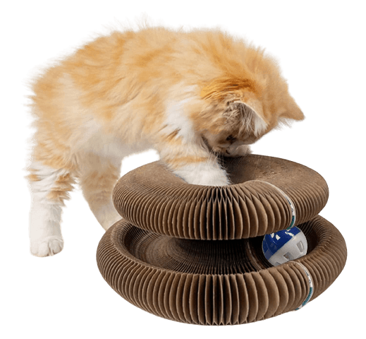 CatCastle™ | Bescherm je meubels en gemoedstoestand!
