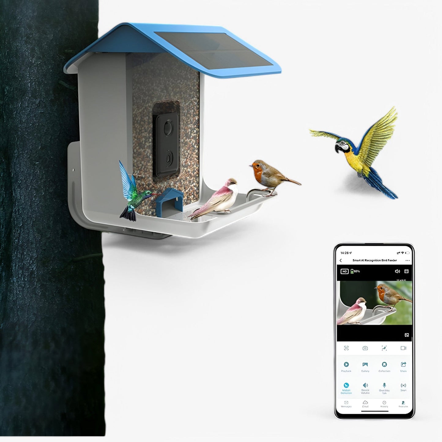 VicoBird Smart Feeder