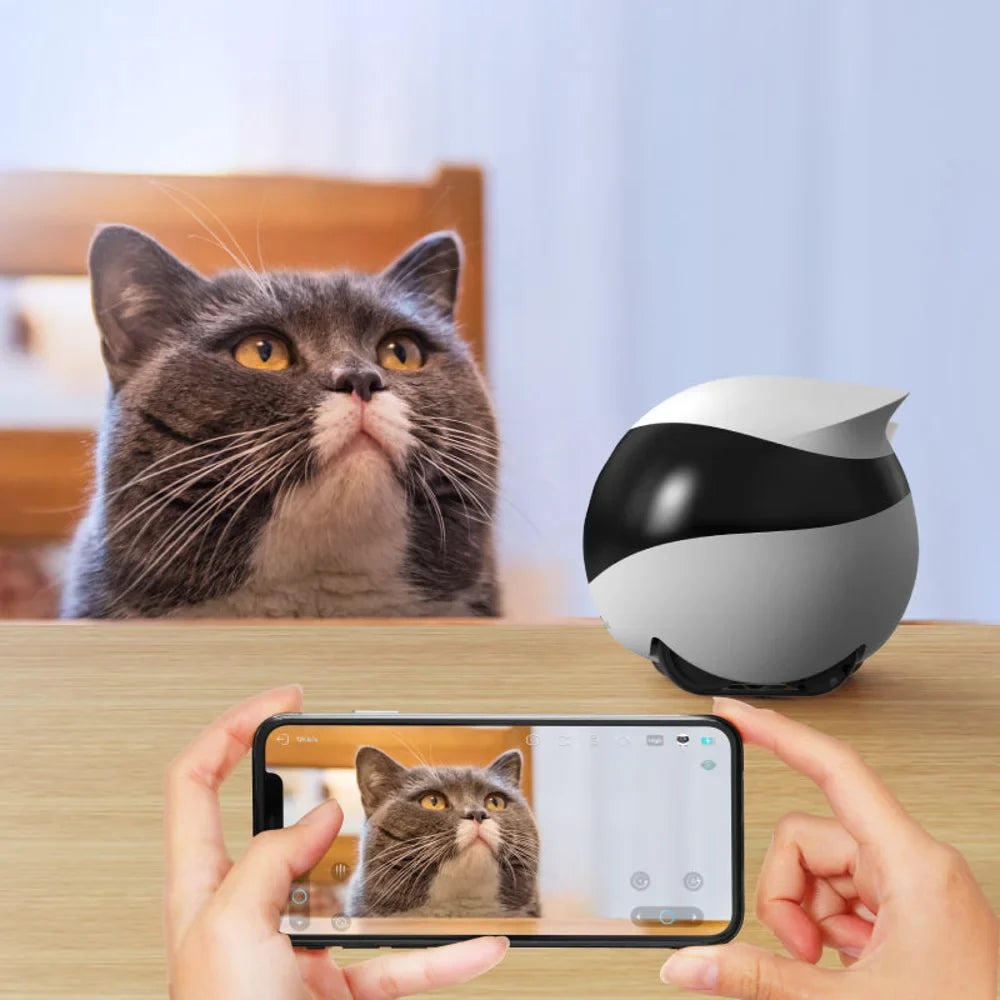 PetVision360