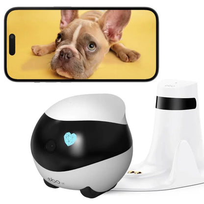 PetVision360