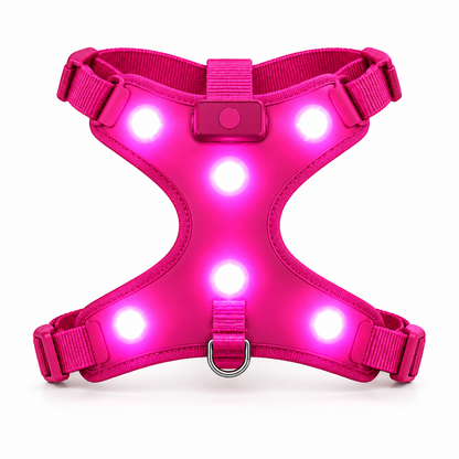 AniPets GlowLine