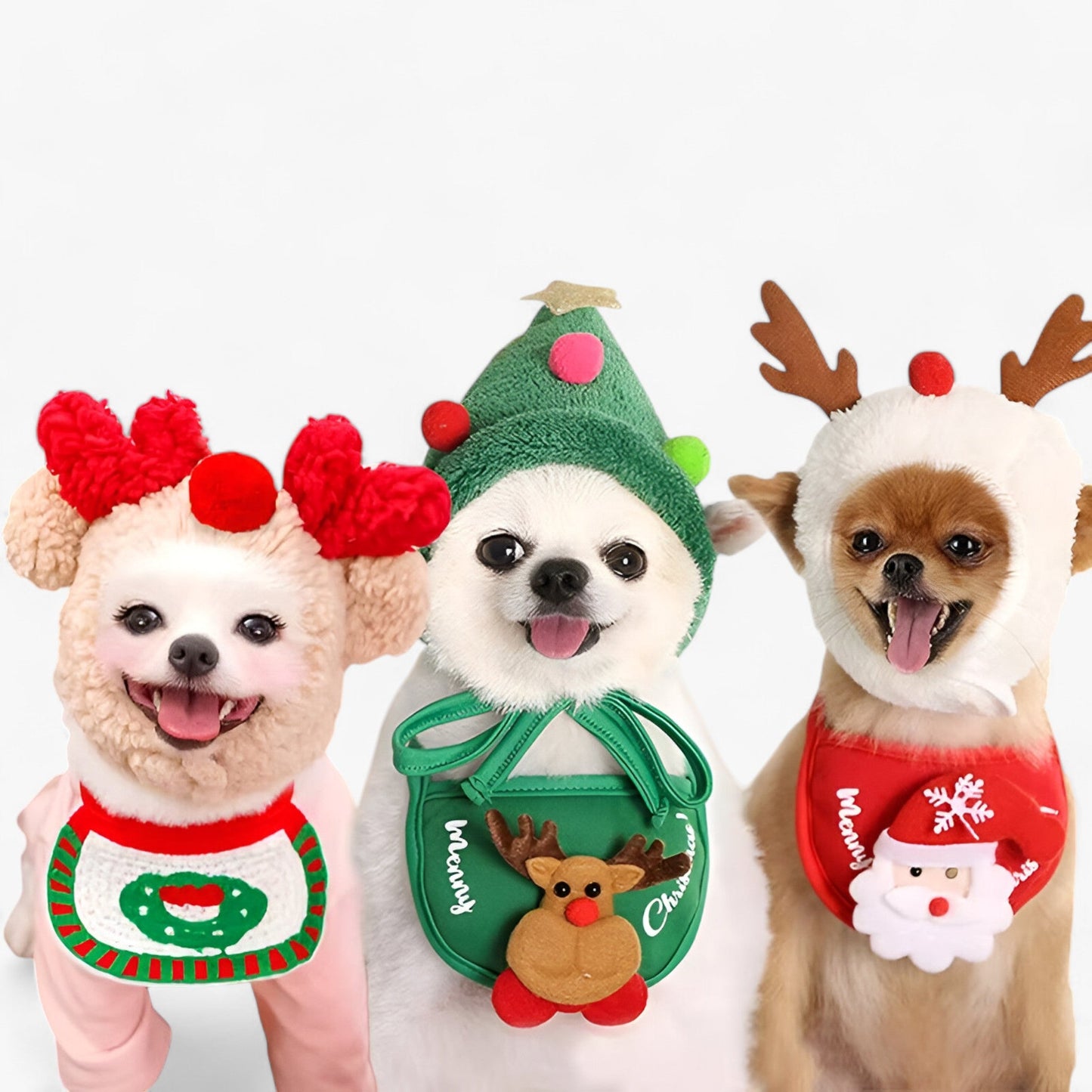 Rudolf | Schattige Kerst costuum