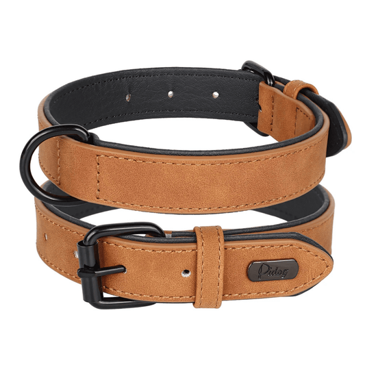 TrailGuard - Halsband Hond Leren Comfort – Verstelbare Halsband Voor Honden - Wandelen