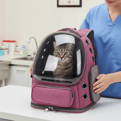 AirView Kattenrugzak – Ademende Transparante Reismand Kat & Kleine Hond voor Onderweg