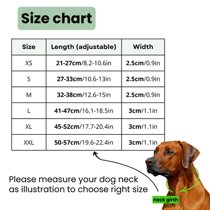 ToughHide Leren Hondenhalsband & Riem Set – Verstelbare Halsband met Spikes voor Sterke Honden